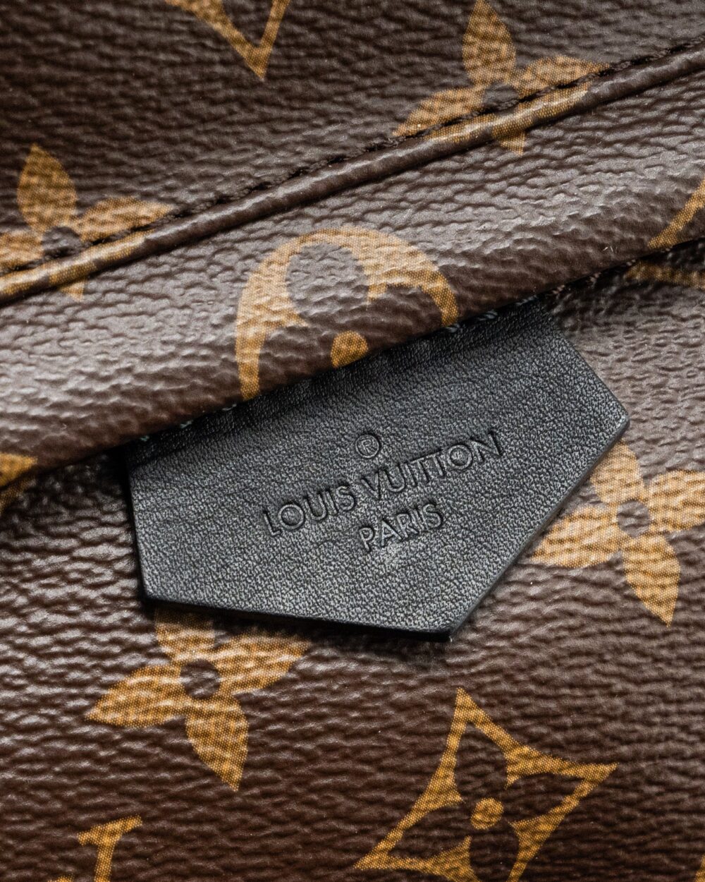 AAA Replica Louis Vuitton LV PALM SPRING PM BACKPACK MONOGRAM CANVAS GHW
