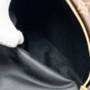 AAA Replica Louis Vuitton LV PALM SPRING PM BACKPACK MONOGRAM CANVAS GHW