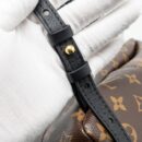 AAA Replica Louis Vuitton LV PALM SPRING PM BACKPACK MONOGRAM CANVAS GHW