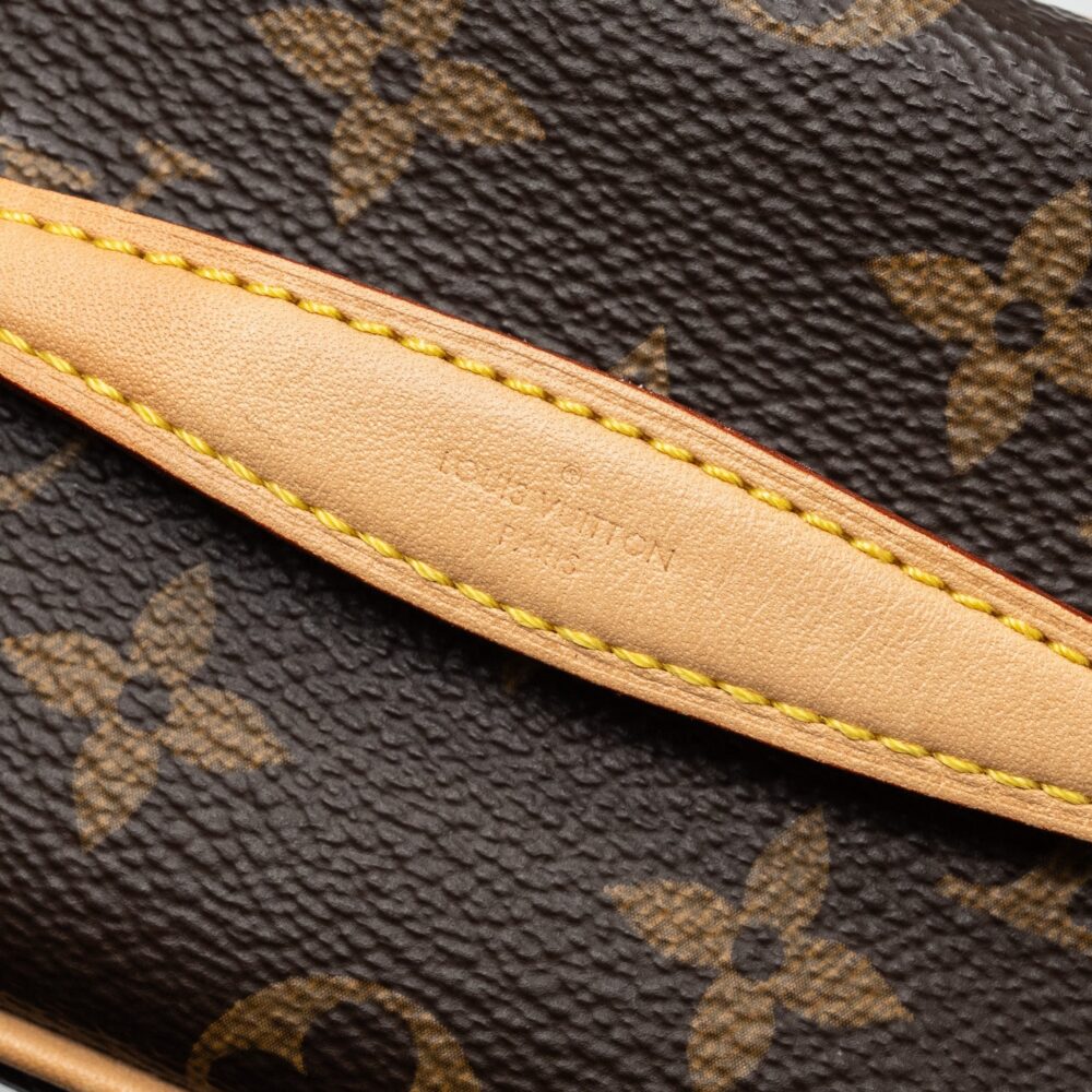AAA Replica Louis Vuitton LV NICE NANO MONOGRAM CANVAS GHW