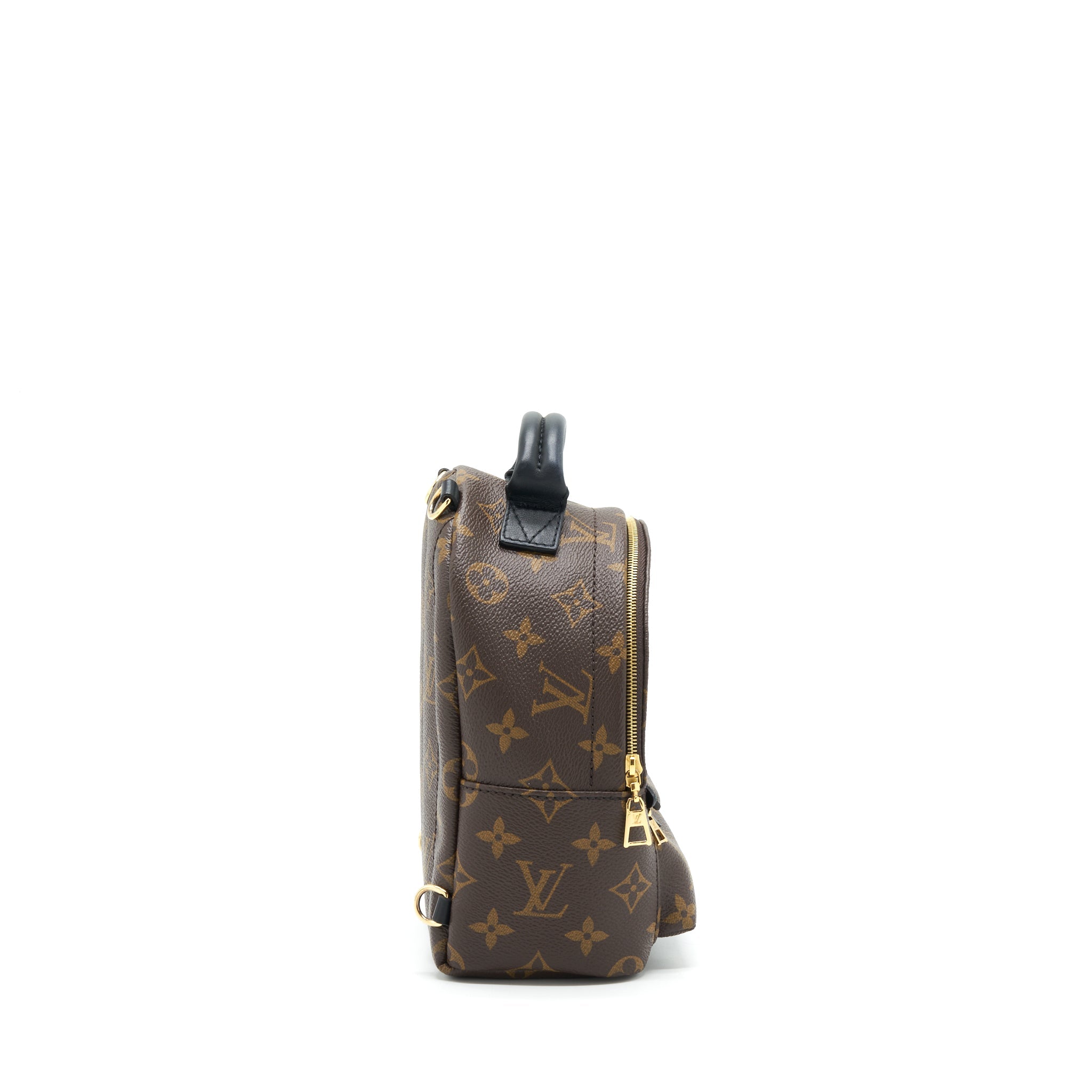 AAA Replica Louis Vuitton LV PALM SPRINGS MINI BACKPACK MONOGRAM CANVAS NEW ZIPPER