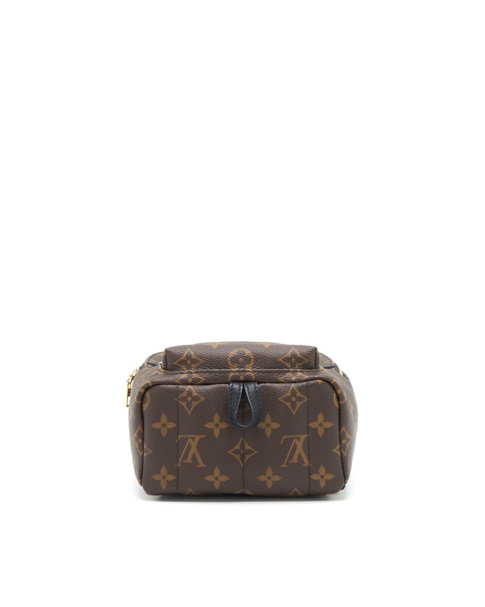 AAA Replica Louis Vuitton LV PALM SPRINGS MINI BACKPACK MONOGRAM CANVAS NEW ZIPPER
