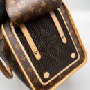 AAA Replica Louis Vuitton LV DOG BAG MONOGRAM CANVAS GHW