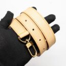 AAA Replica Louis Vuitton LV DOG BAG MONOGRAM CANVAS GHW