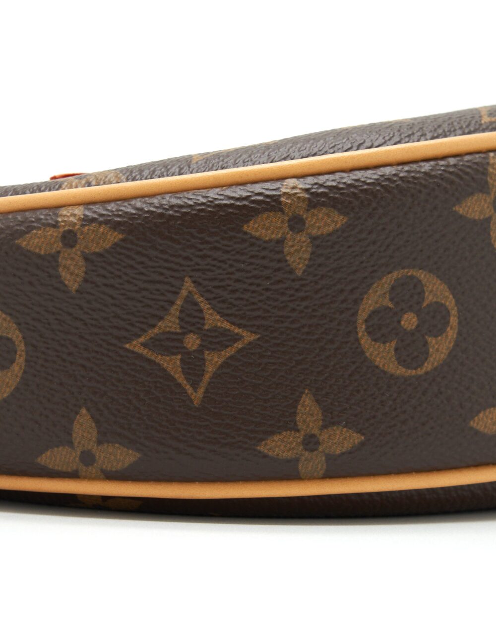 AAA Replica Louis Vuitton LV LOOP BAG MONOGRAM CANVAS GHW