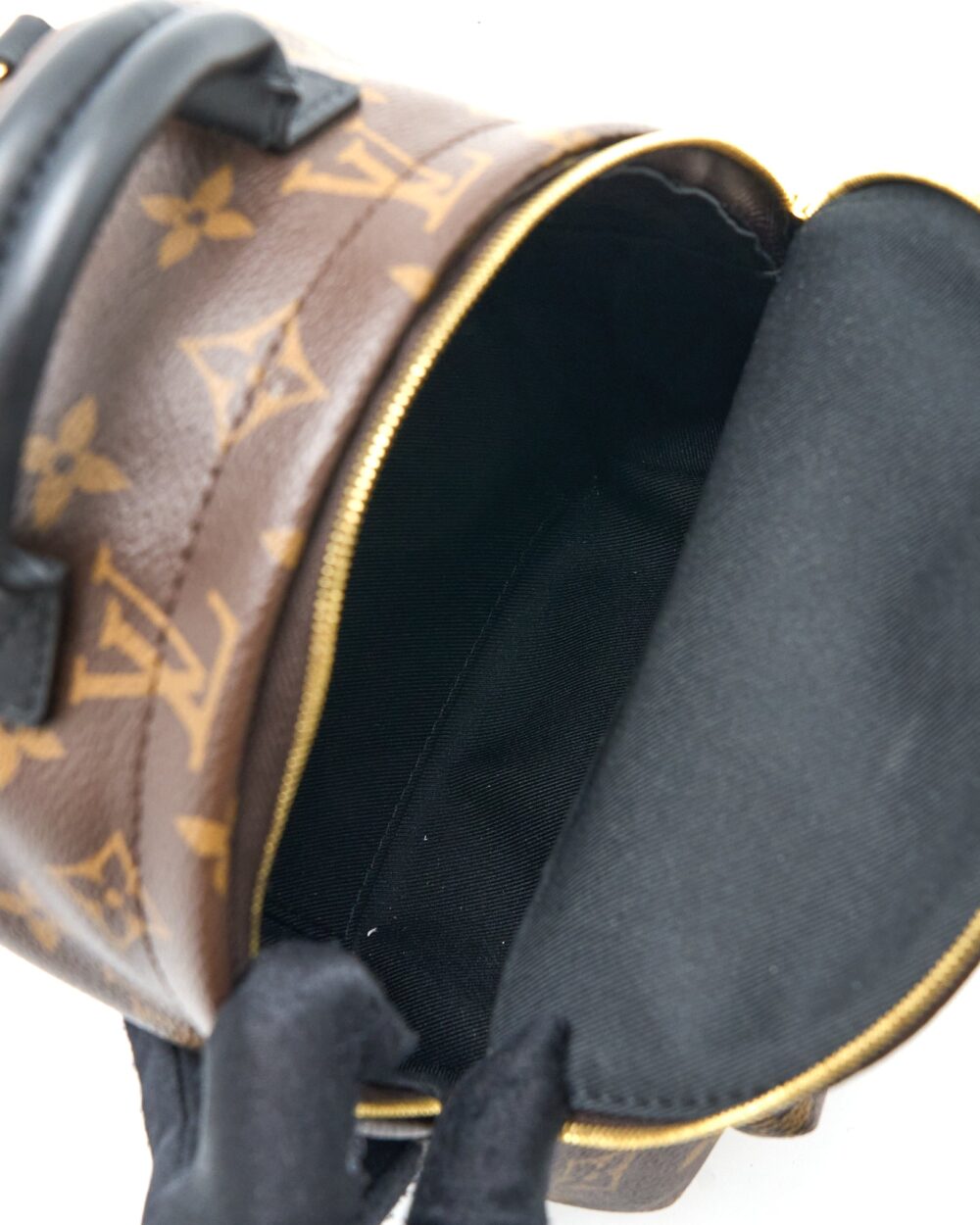 AAA Replica Louis Vuitton LV MINI PALM SPRING BACKPACK MONOGRAM CANVAS GHW