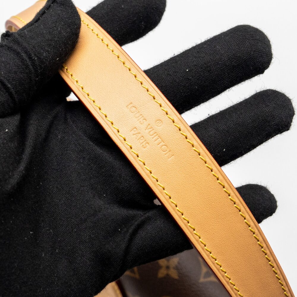 AAA Replica Louis Vuitton LV DIANE BAG WITH JACQUARD STRAP MONOGRAM CANVAS GHW