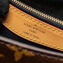 AAA Replica Louis Vuitton LV DIANE BAG WITH JACQUARD STRAP MONOGRAM CANVAS GHW