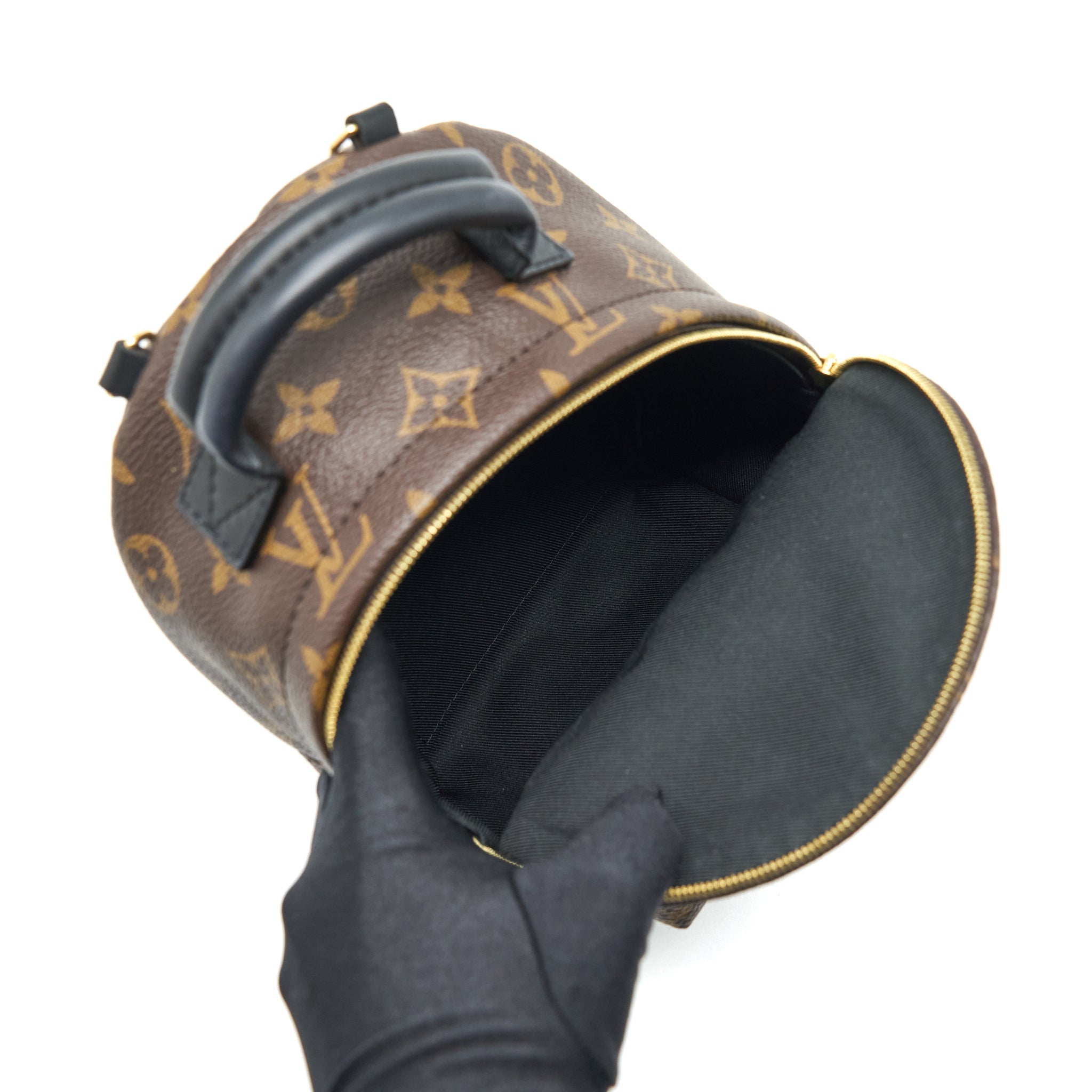 AAA Replica Louis Vuitton LV PALM SPRINGS MINI BACKPACK MONOGRAM CANVAS NEW ZIPPER