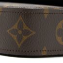 AAA Replica Louis Vuitton LV FELICIE STRAP & GO MONOGRAM CANVAS GHW
