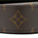 AAA Replica Louis Vuitton LV FELICIE STRAP & GO MONOGRAM CANVAS GHW