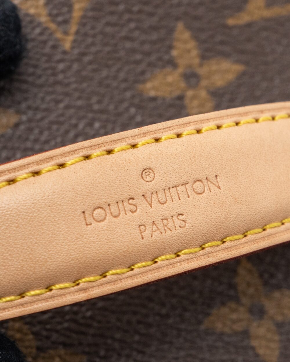 AAA Replica Louis Vuitton LV NICE MINI MONOGRAM CANVAS GHW (NEW VERSION)