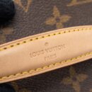 AAA Replica Louis Vuitton LV NICE MINI MONOGRAM CANVAS GHW (NEW VERSION)
