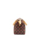 AAA Replica Louis Vuitton LV SPEEDY 25 CHERRY BLOSSOM MONOGRAM CANVAS GHW