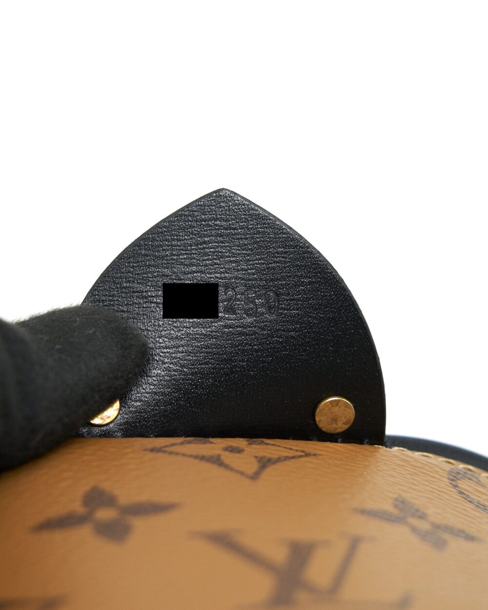 AAA Replica Louis Vuitton LV CANNES MONOGRAM REVERSE CANVAS
