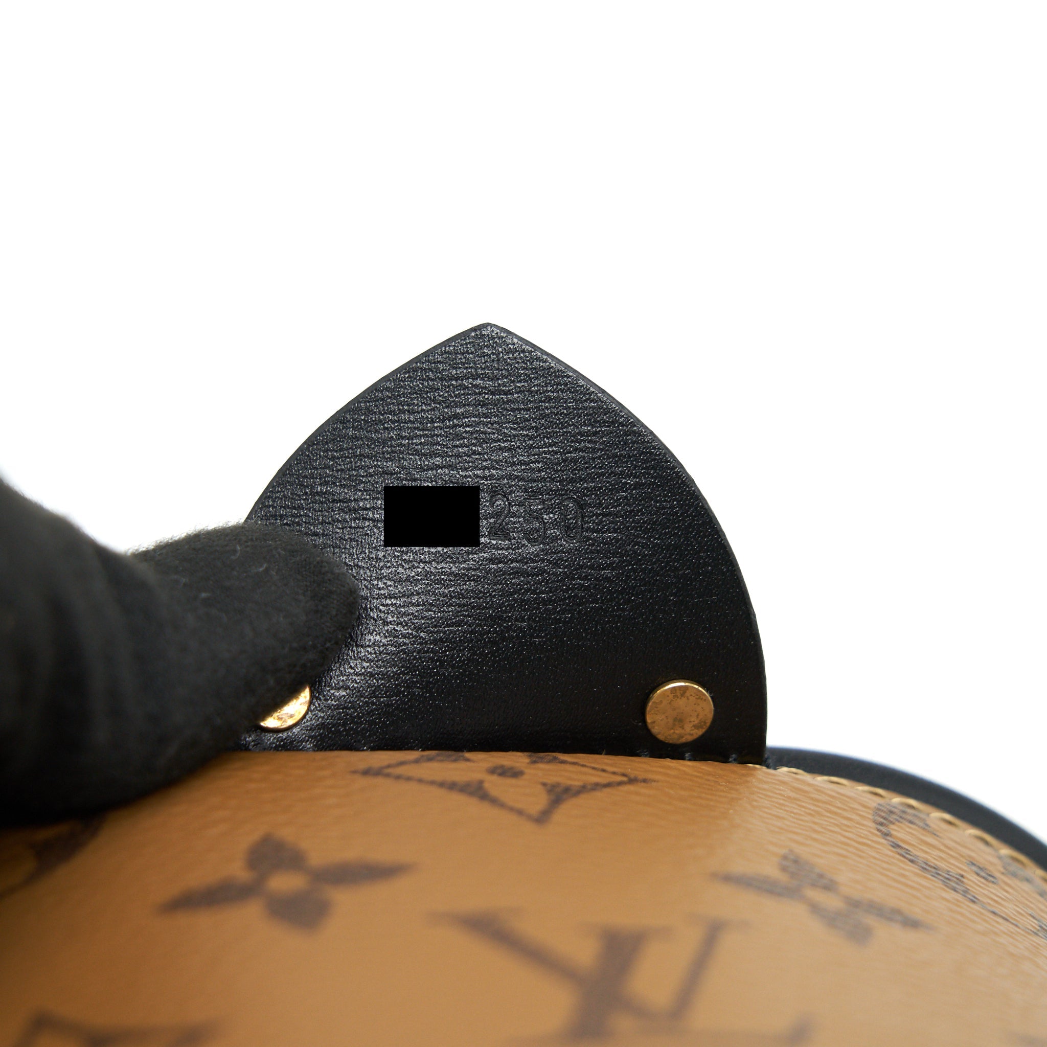 AAA Replica Louis Vuitton LV CANNES MONOGRAM REVERSE CANVAS