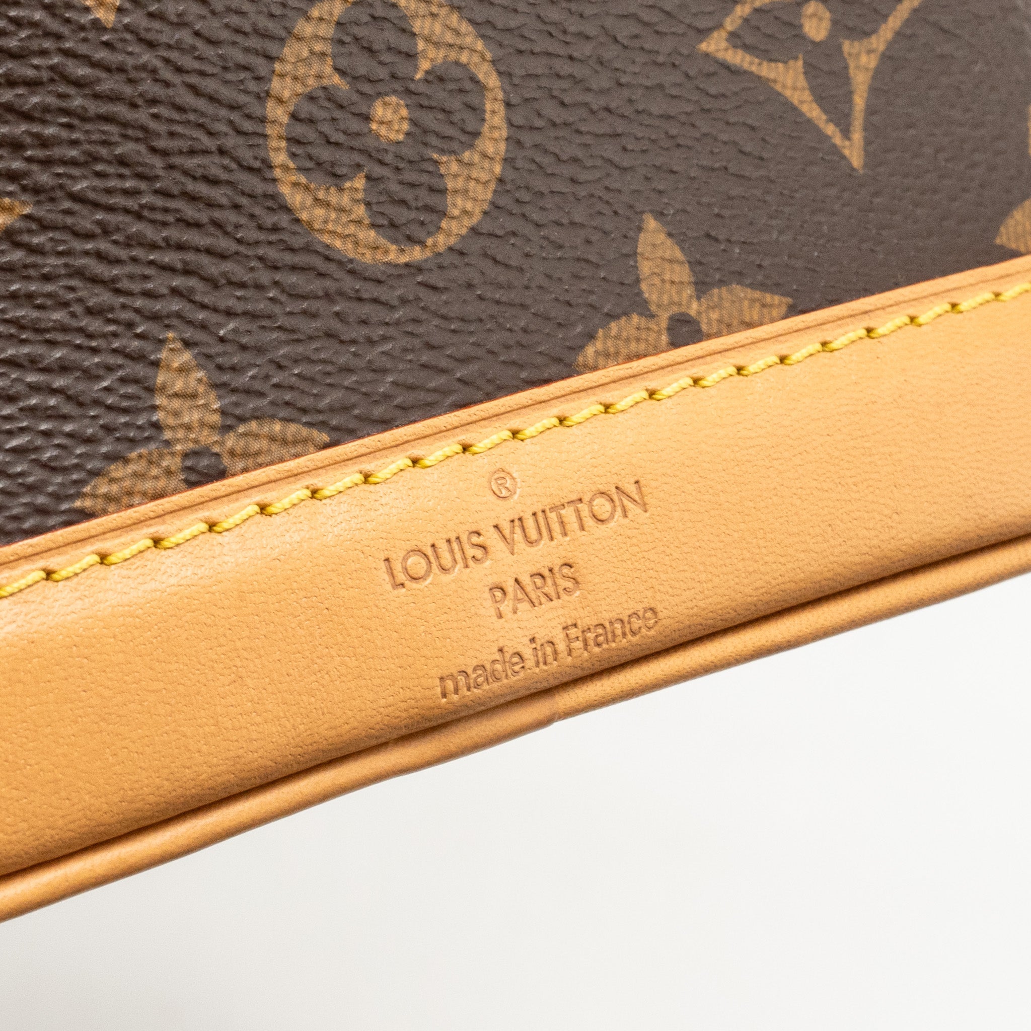 AAA Replica Louis Vuitton LV NANO NOE MONOGRAM CANVAS GHW