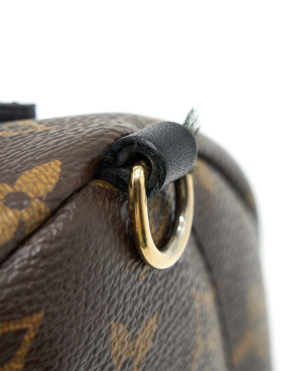 AAA Replica Louis Vuitton LV MINI PALM BACKPACK SPRING LIMITED EDITION MONOGRAM CANVAS GHW