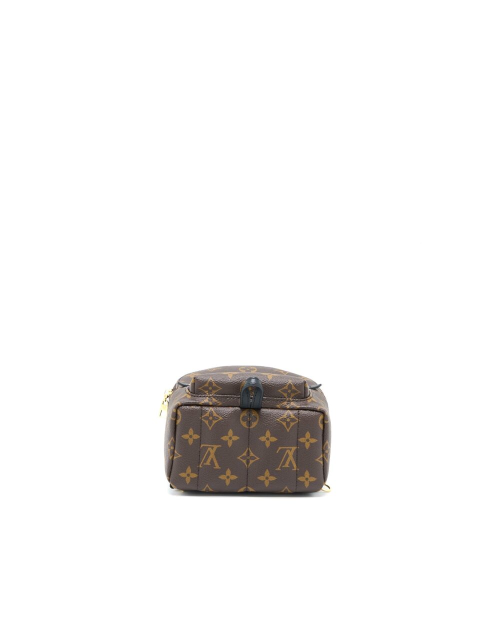 AAA Replica Louis Vuitton LV PALM SPRING MINI BACKPACK MONOGRAM CANVAS GHW (NEW VERSION)