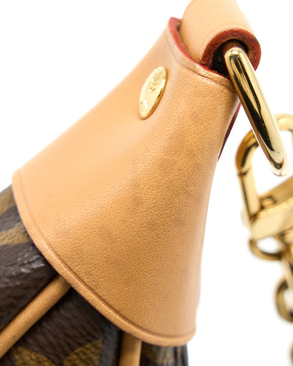 AAA Replica Louis Vuitton LV LOOP BAG MONOGRAM CANVAS GHW (NEW VERSION)