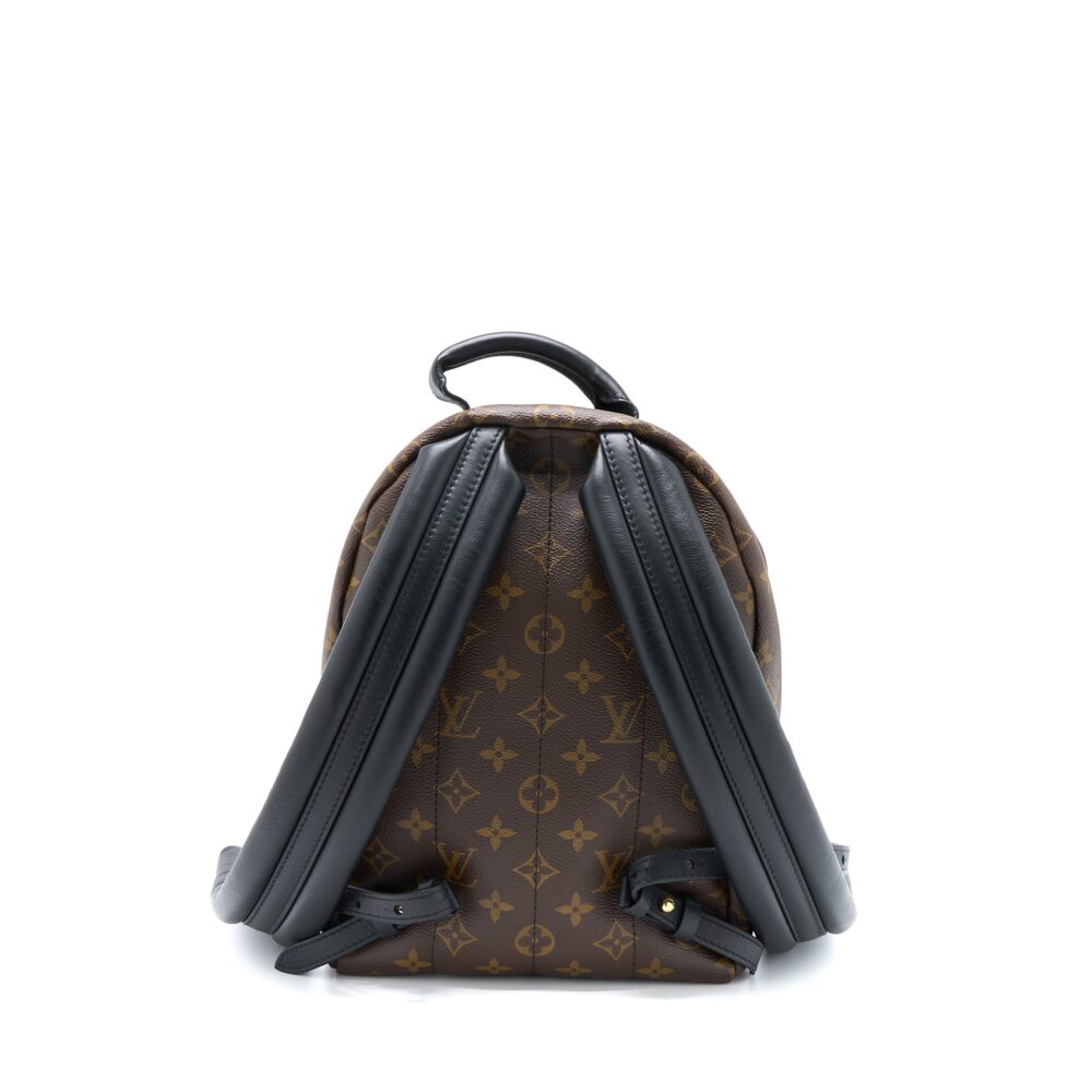AAA Replica Louis Vuitton LV PALM SPRING BACKPACK PM MONOGRAM REVERSE CANVAS GHW