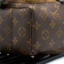 AAA Replica Louis Vuitton LV PALM SPRING BACKPACK PM MONOGRAM REVERSE CANVAS GHW