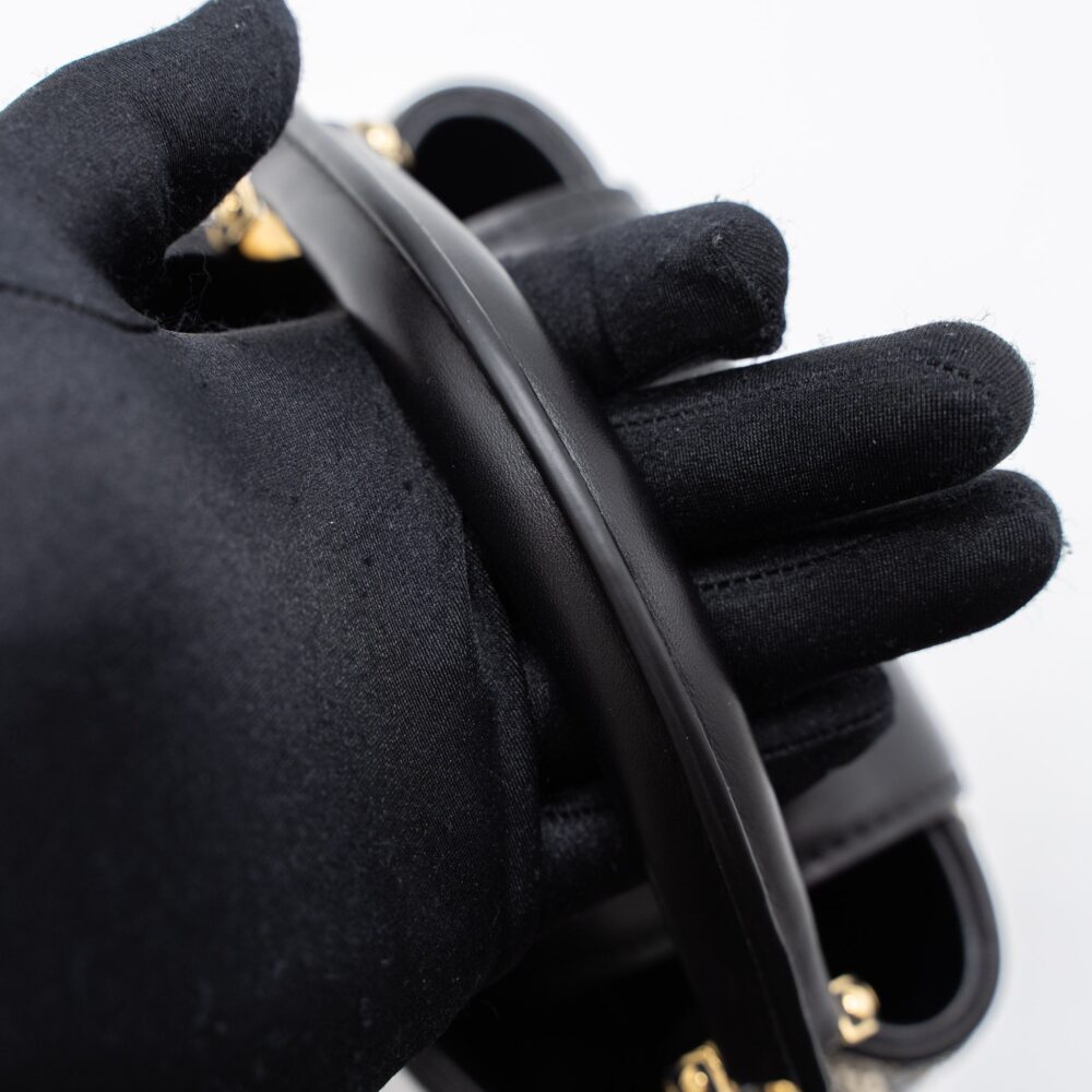 AAA Replica Louis Vuitton LV CAPUCINES BB 21FW LIMITED EDITION CALFSKIN BLACK/MULTICOLOUR GHW