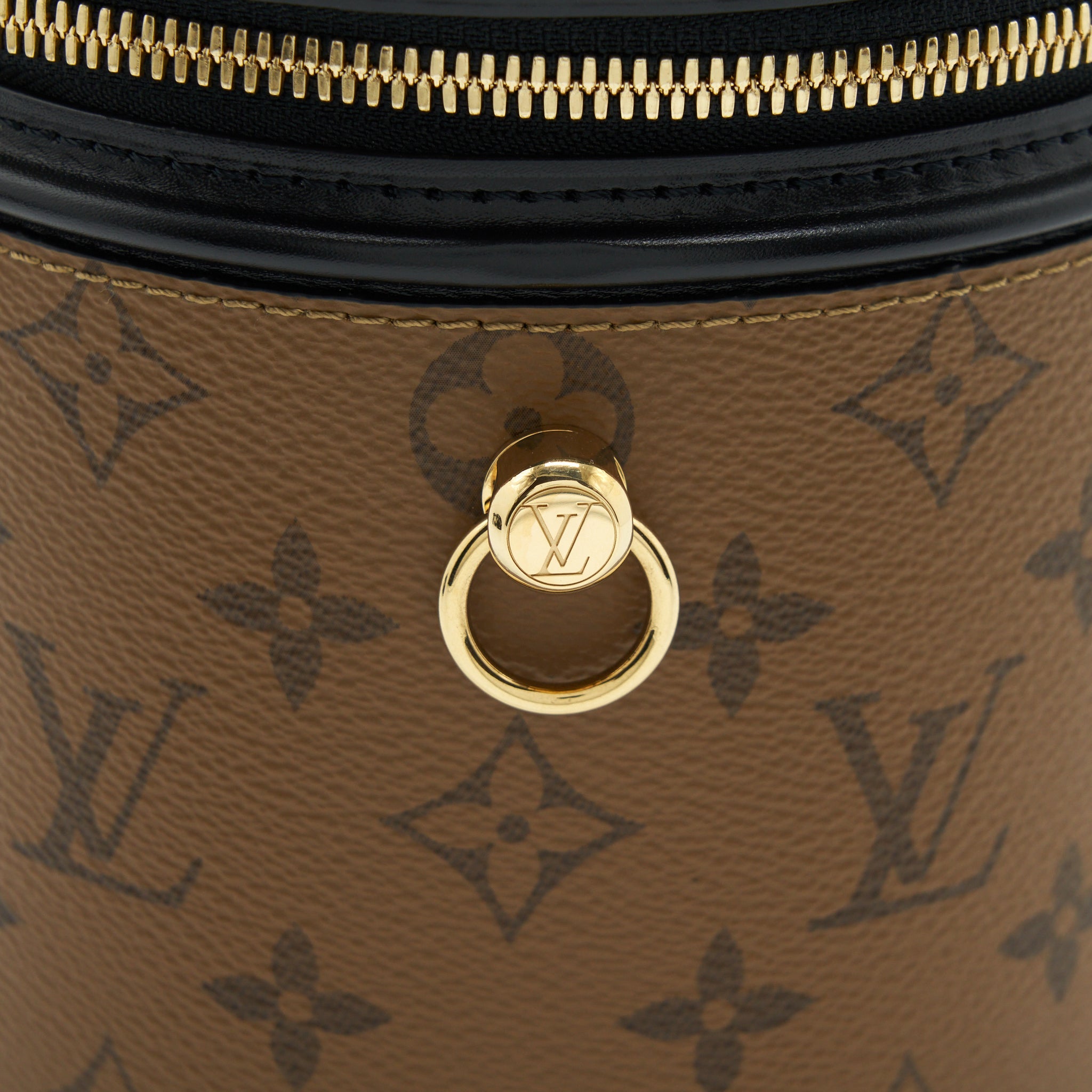 AAA Replica Louis Vuitton LV CANNES REVERSE MONOGRAM CANVAS GHW