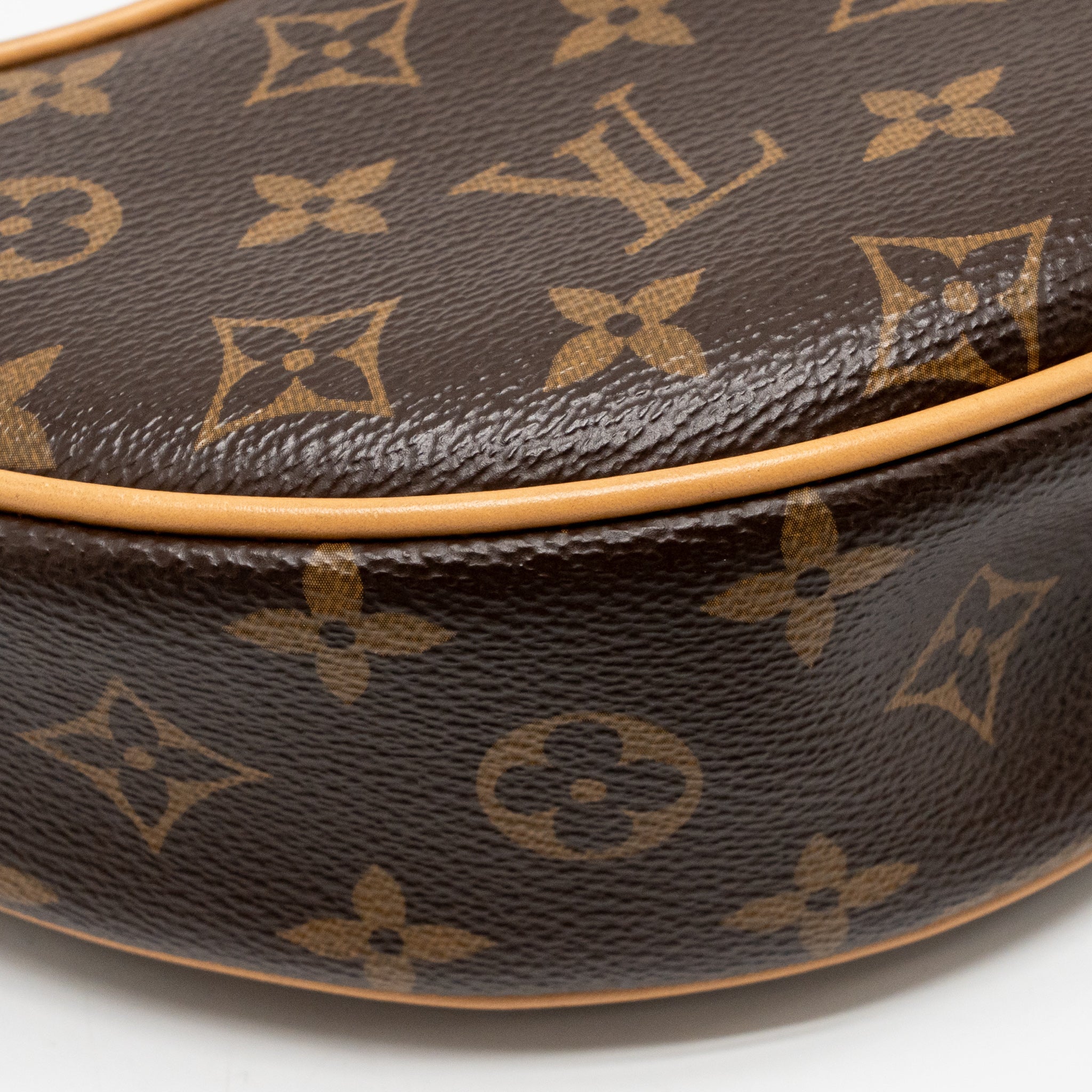 AAA Replica Louis Vuitton LV LOOP MONOGRAM CANVAS GHW