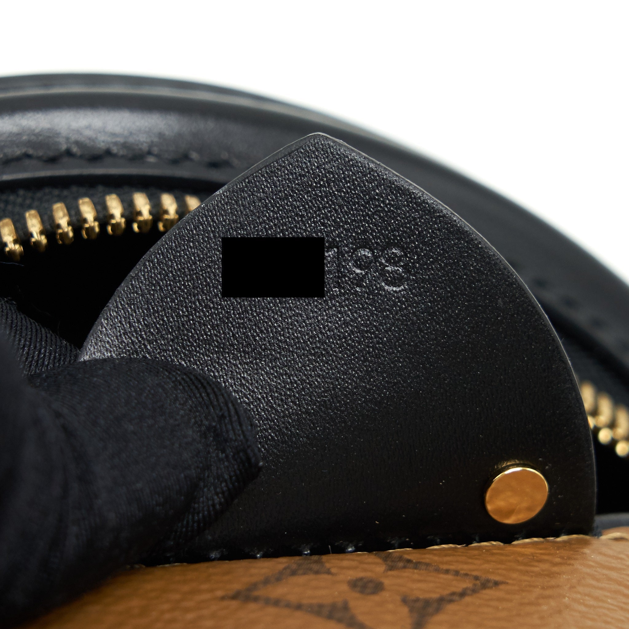 AAA Replica Louis Vuitton LV CANNES BAG MONOGRAM REVERSE CANVAS YEAR 2018