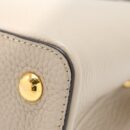 AAA Replica Louis Vuitton LV CAPUCINE MM TAURILLON GALET GHW