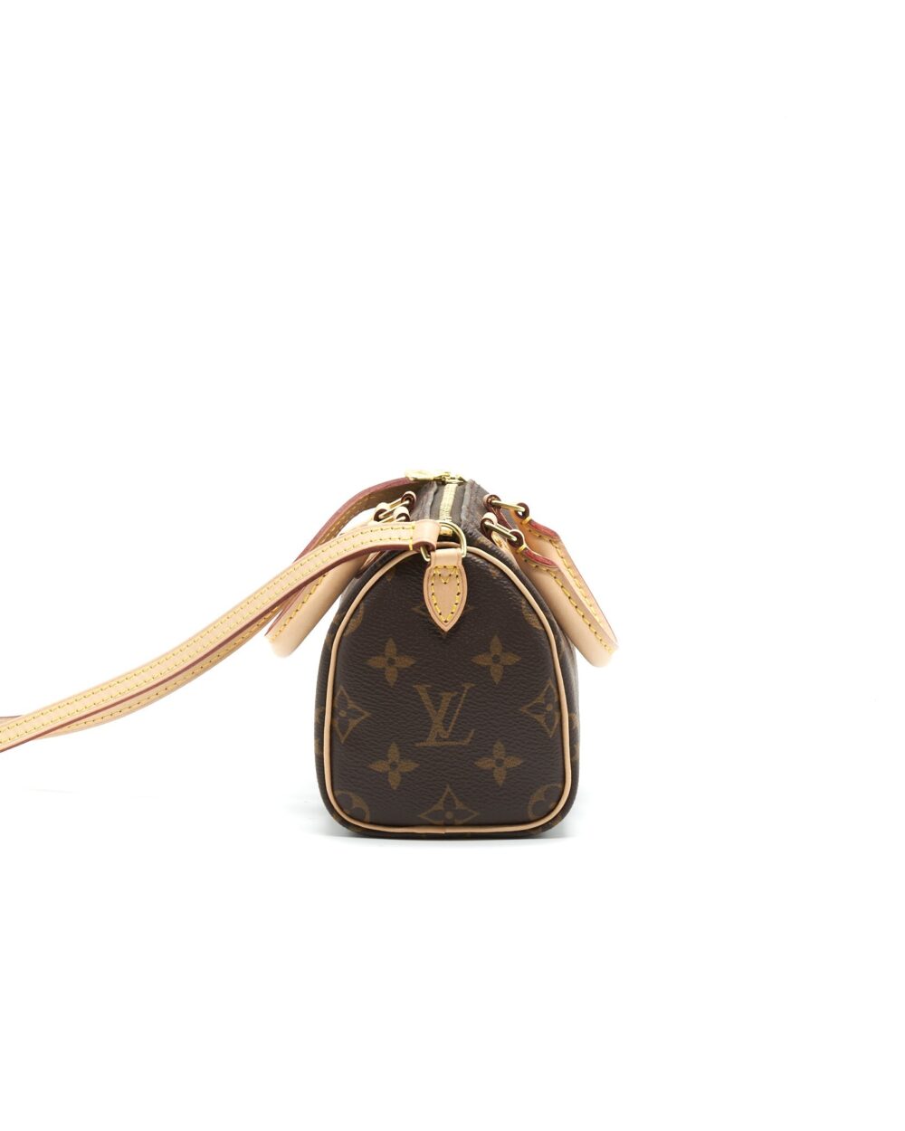 AAA Replica Louis Vuitton LV NANO SPEEDY TY
