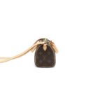 AAA Replica Louis Vuitton LV NANO SPEEDY TY
