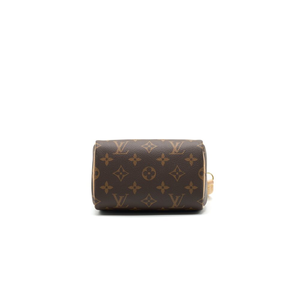 AAA Replica Louis Vuitton LV NANO SPEEDY TY