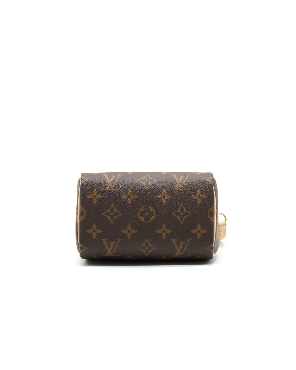 AAA Replica Louis Vuitton LV NANO SPEEDY TY