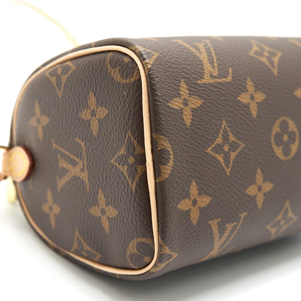 AAA Replica Louis Vuitton LV NANO SPEEDY TY