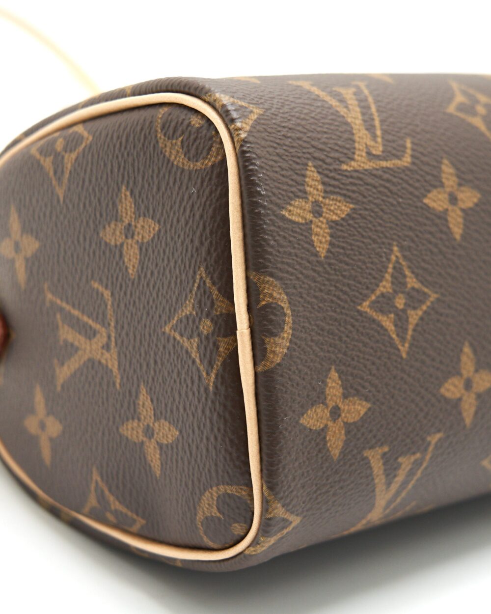 AAA Replica Louis Vuitton LV NANO SPEEDY TY