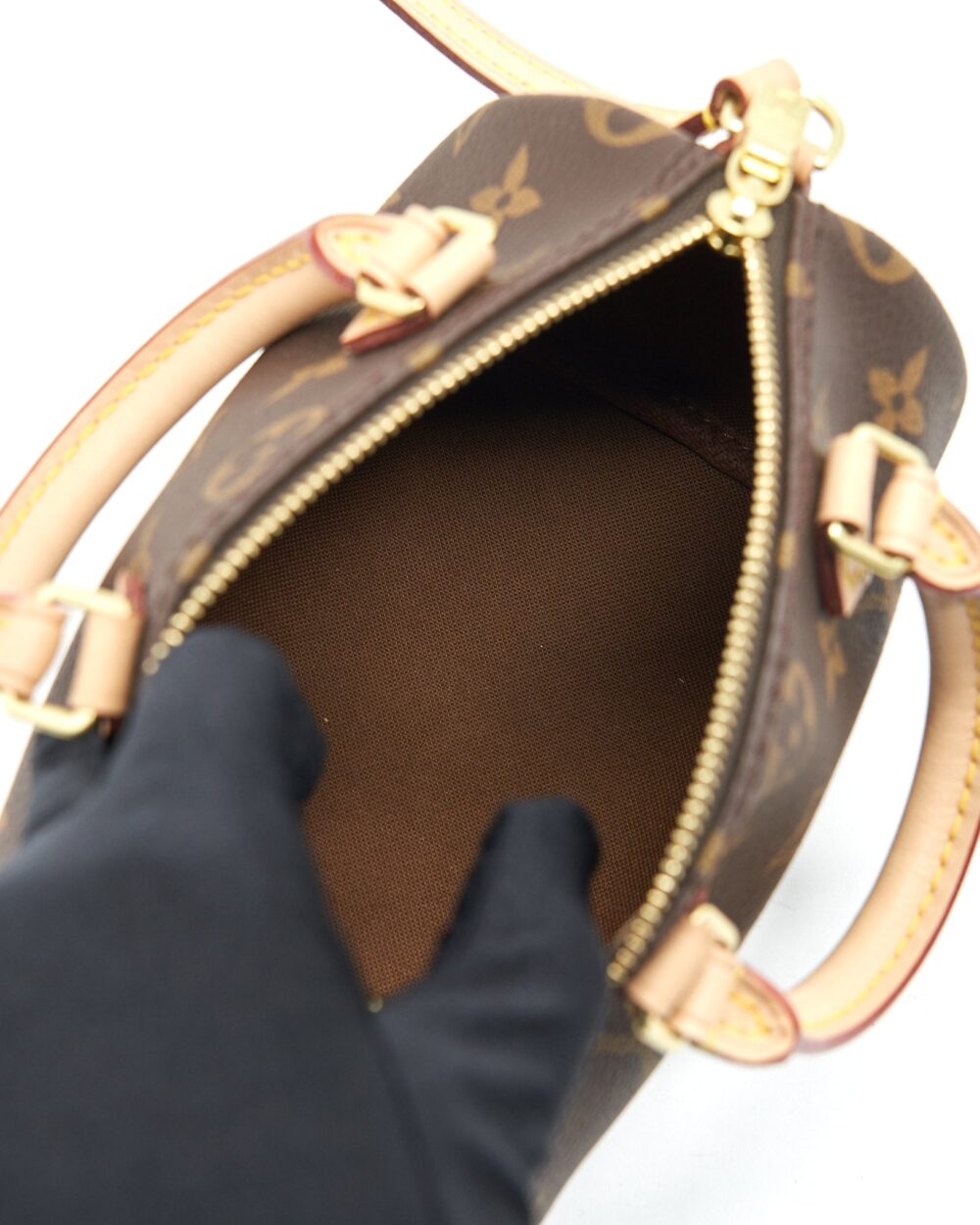 AAA Replica Louis Vuitton LV NANO SPEEDY TY