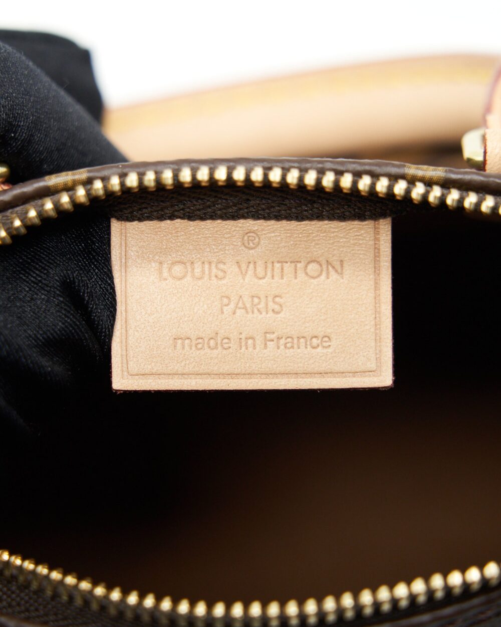 AAA Replica Louis Vuitton LV NANO SPEEDY TY