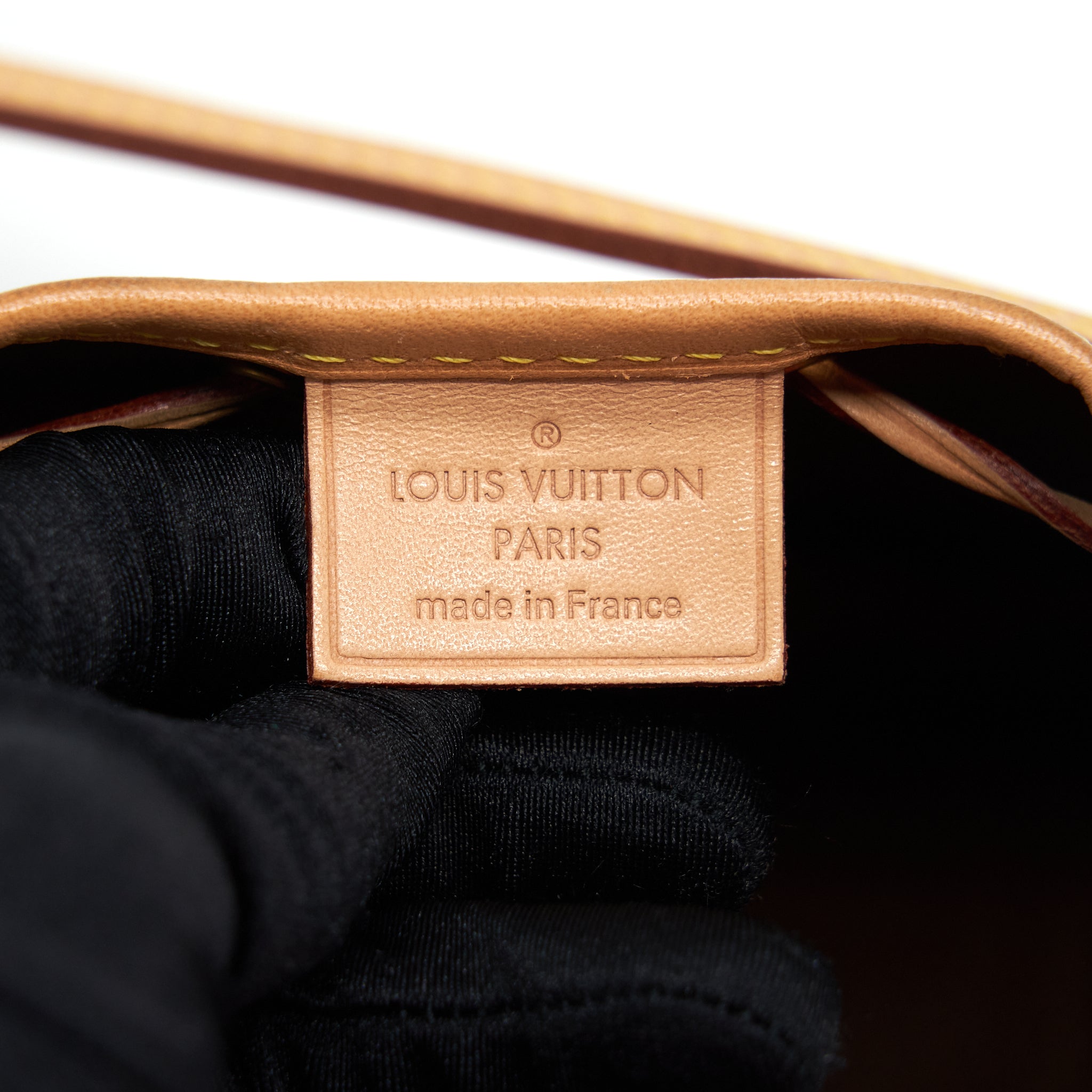 AAA Replica Louis Vuitton LV NANO NOE MONOGRAM CANVAS GHW