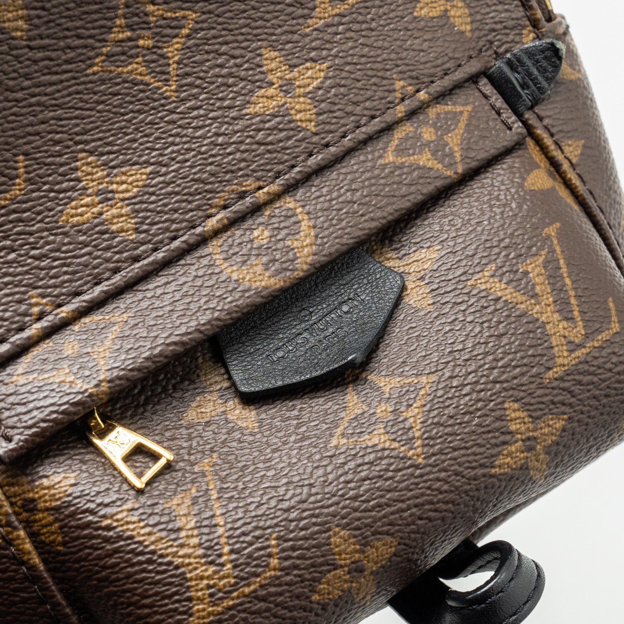 AAA Replica Louis Vuitton LV MINI PALM SPRING BACKPACK MONOGRAM CANVAS GHW