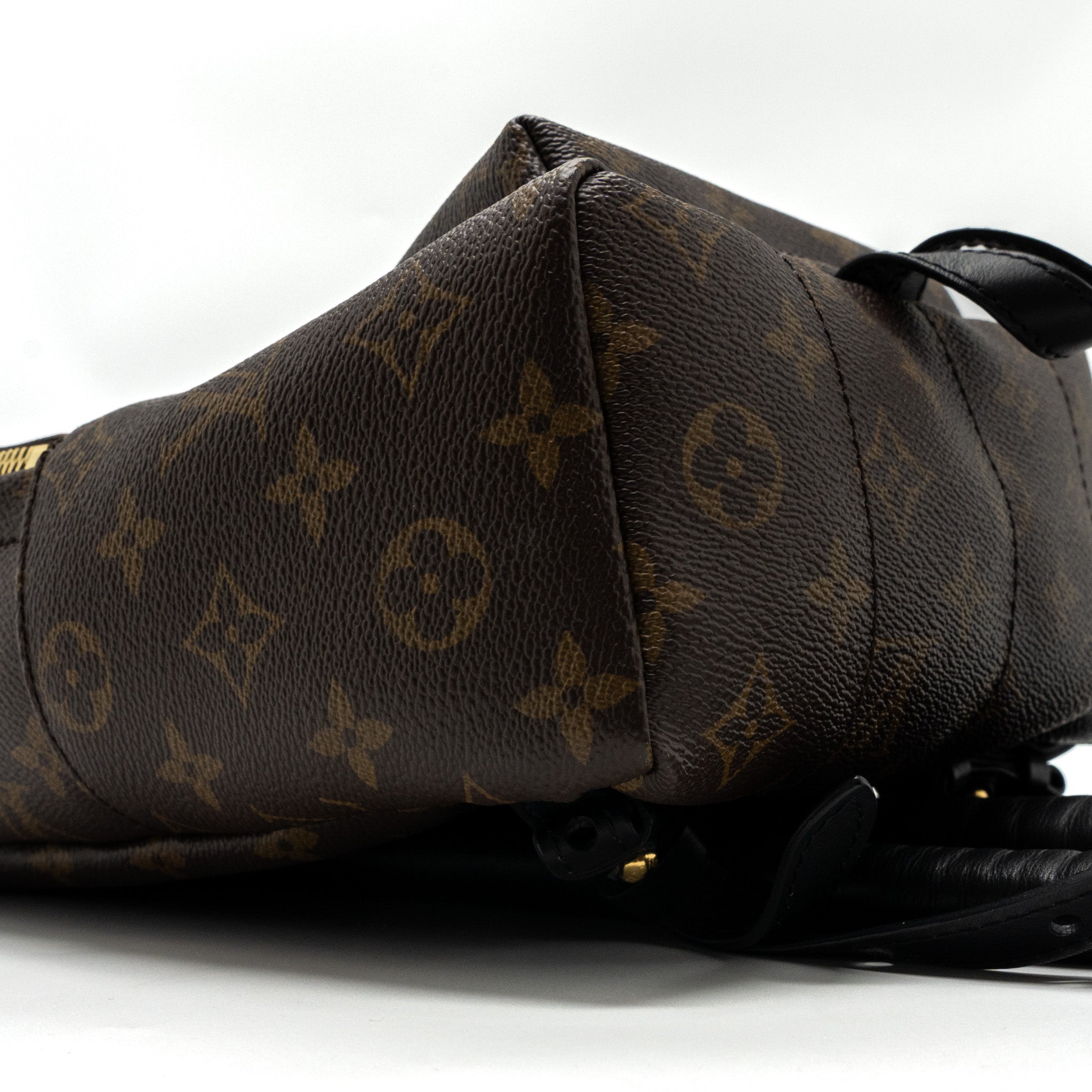AAA Replica Louis Vuitton LV PALM SPRING BACKPACK PM MONOGRAM CANVAS GHW