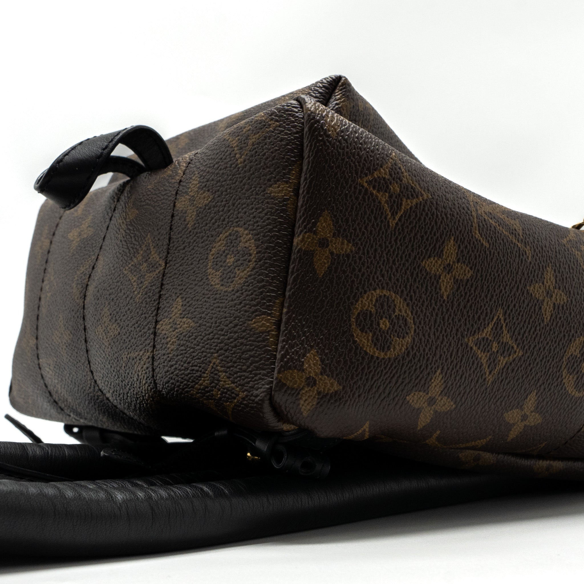 AAA Replica Louis Vuitton LV PALM SPRING BACKPACK PM MONOGRAM CANVAS GHW