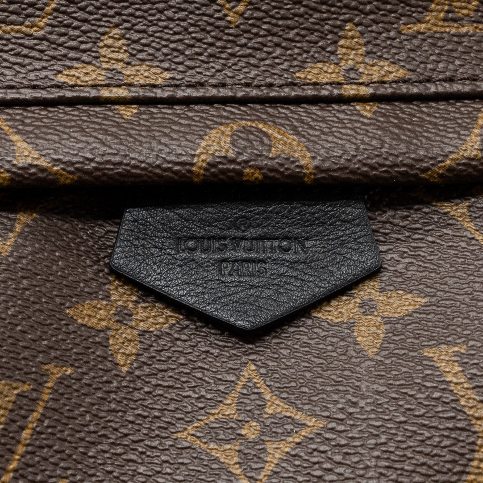 AAA Replica Louis Vuitton LV PALM SPRING BACKPACK PM MONOGRAM CANVAS GHW