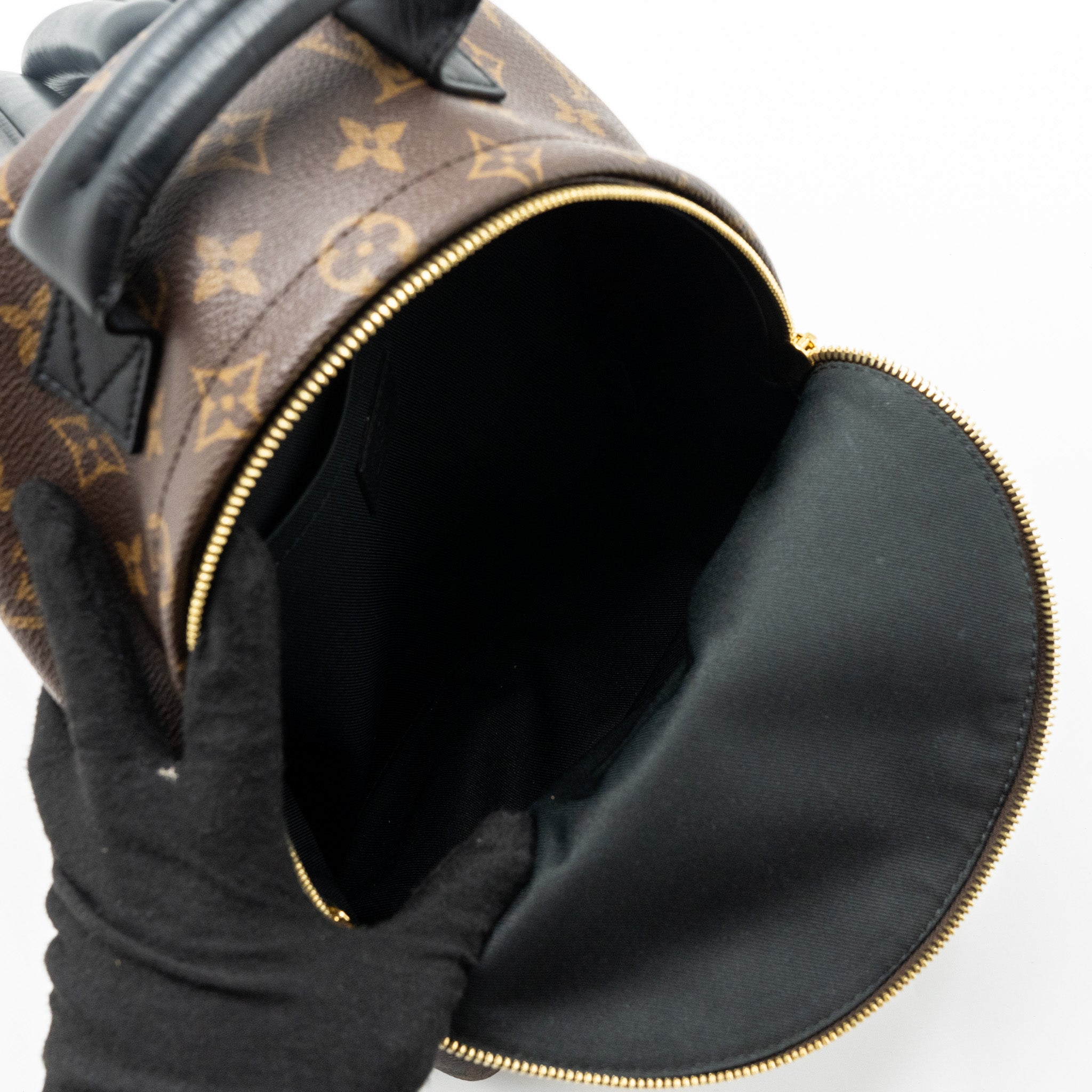 AAA Replica Louis Vuitton LV PALM SPRING BACKPACK PM MONOGRAM CANVAS GHW