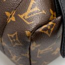 AAA Replica Louis Vuitton LV PALM SPRING BACKPACK MM MONOGRAM CANVAS