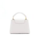 AAA Replica Louis Vuitton LV CAPUCINES BB BRUME GREY GOLD HARWARE WITH ABALONE-SHELL