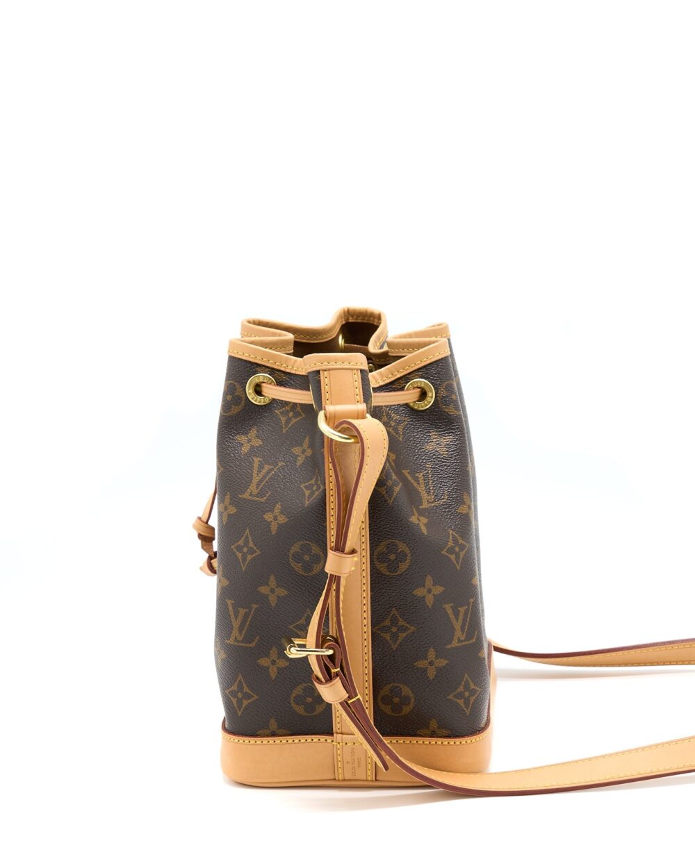 AAA Replica Louis Vuitton LV NEO NOE BB MONOGRAM CANVAS GHW