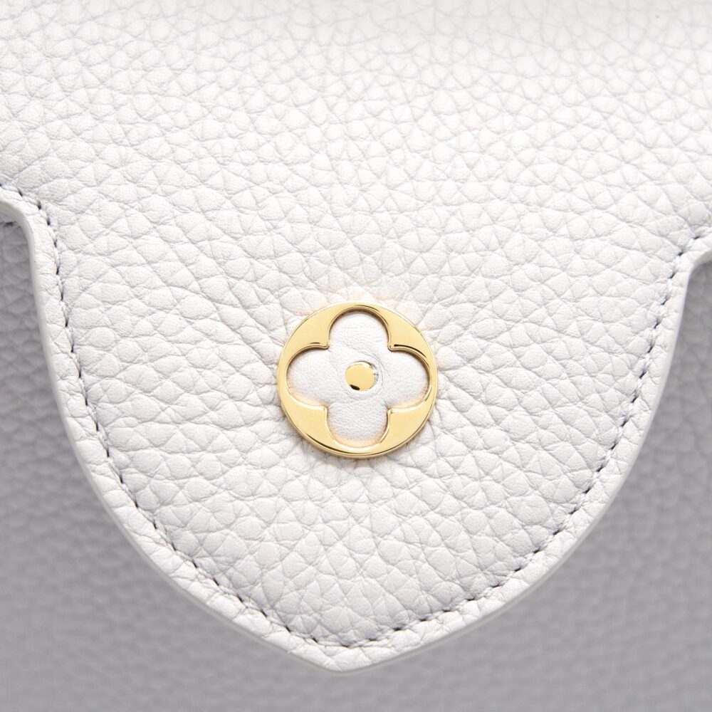 AAA Replica Louis Vuitton LV CAPUCINES BB BRUME GREY GOLD HARWARE WITH ABALONE-SHELL