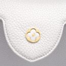AAA Replica Louis Vuitton LV CAPUCINES BB BRUME GREY GOLD HARWARE WITH ABALONE-SHELL